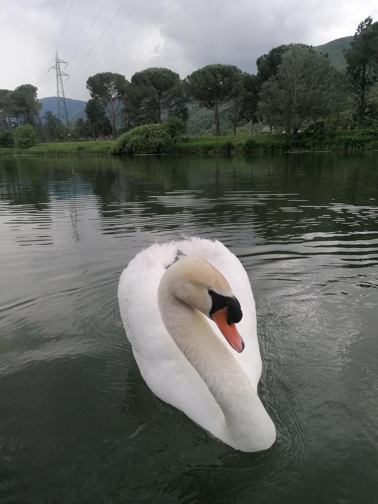 La Cannucciola Piediluco Luaran gambar
