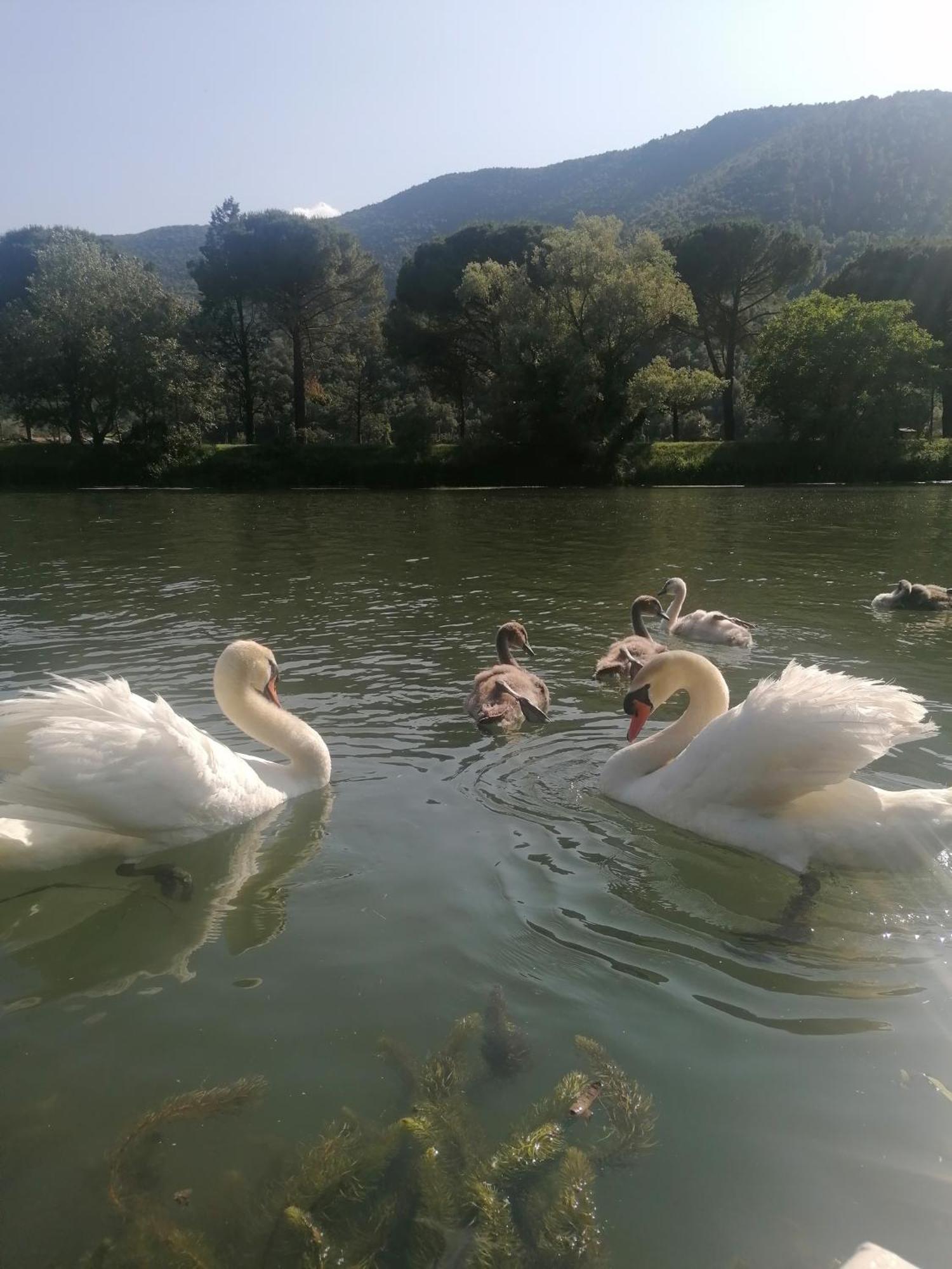 La Cannucciola Piediluco Luaran gambar